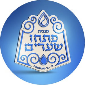 מקוה טהרה אנטווערפען